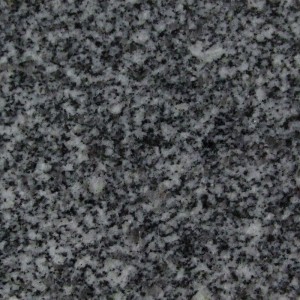 oshima1